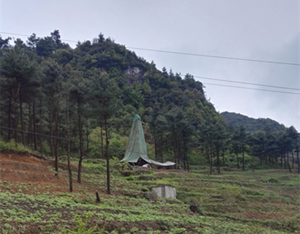 把脈“黔”鋅地，問診開良方